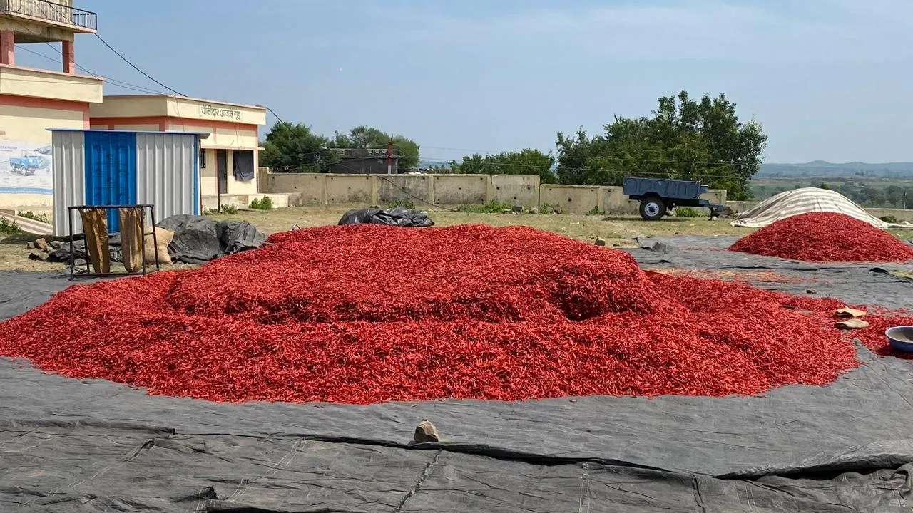 Red Chilli
