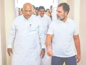 Congress insists on alliance with AAP in Haryana elections कांग्रेस का हरियाणा चुनाव में आप से गठबंधन पर जोर