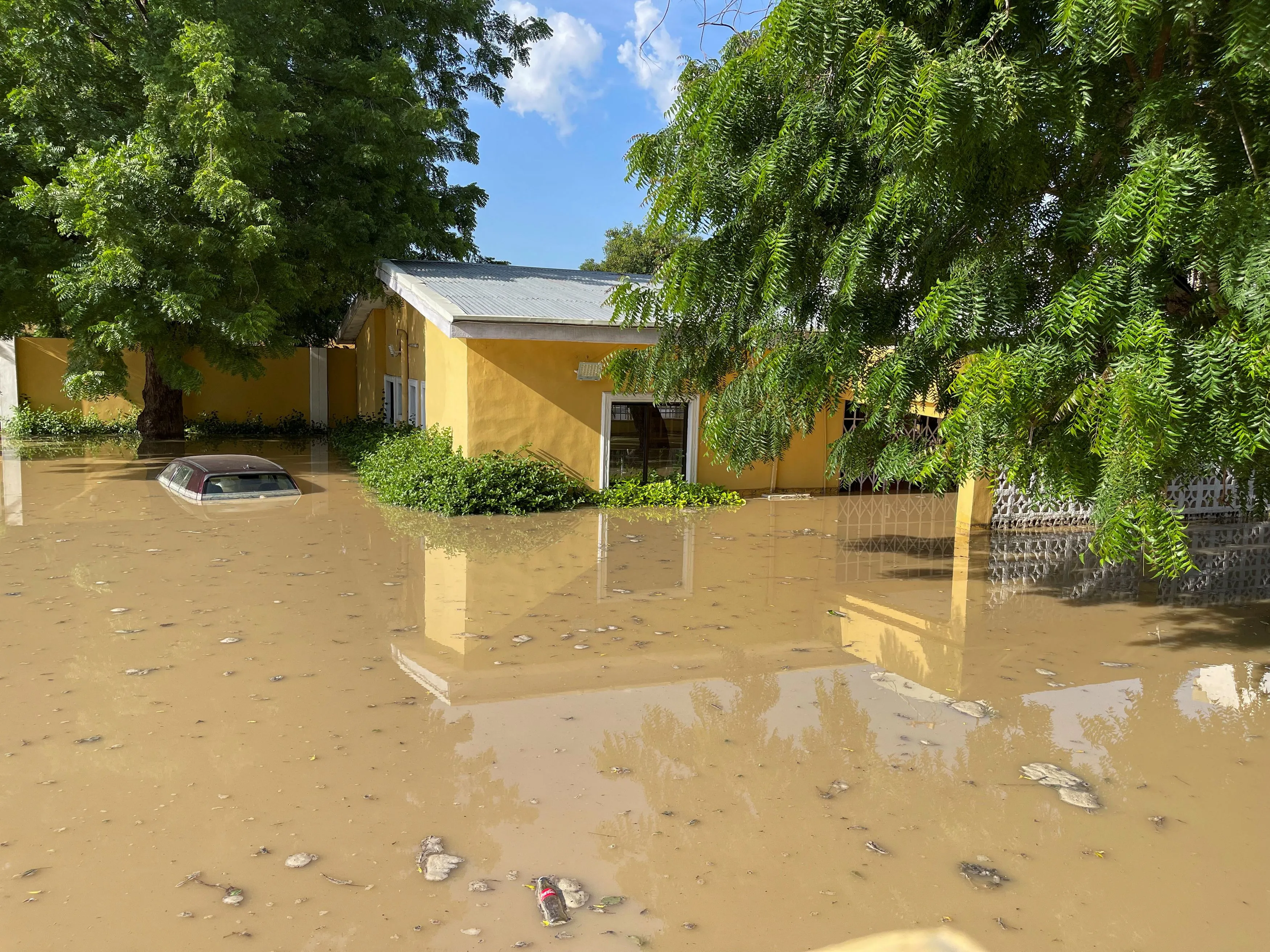 Floods decimate Nigerian zoo, wash crocodiles into community, in Maiduguri