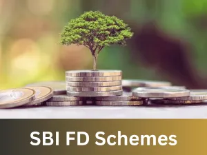 SBI FD schemes