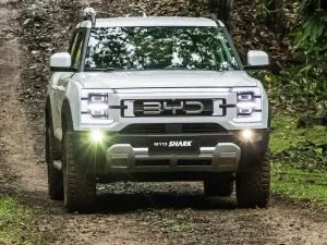 BYD