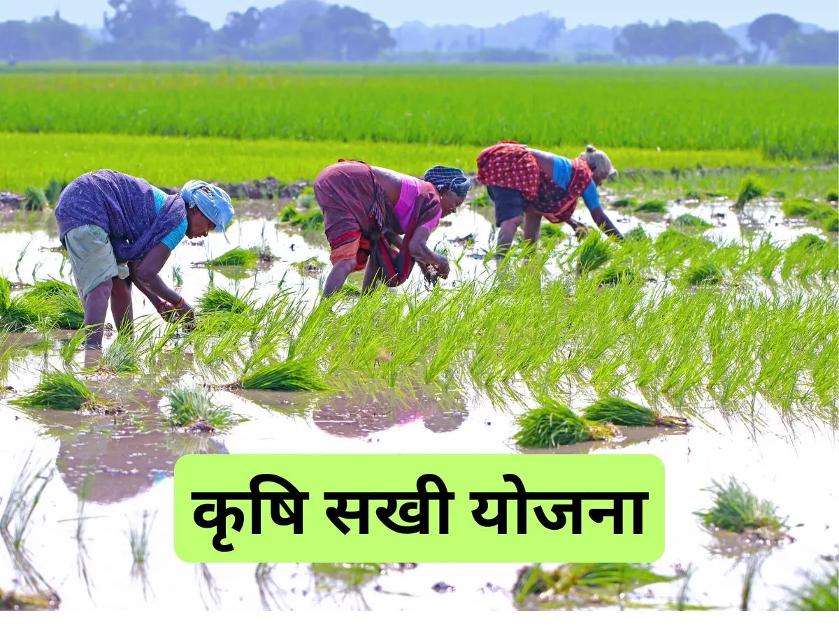 यूपी में महिलाएं बनेंगी ‘कृषि सखी’, मिलेगी ट्रेनिंग, मानदेय होगा 5,000 रुपये UP yogi govt krishi sakhi yojna