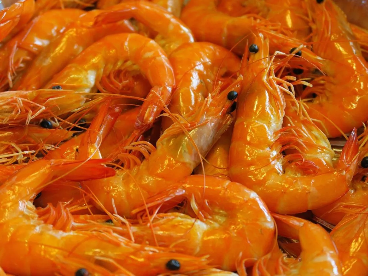 India US Trade Tariffs