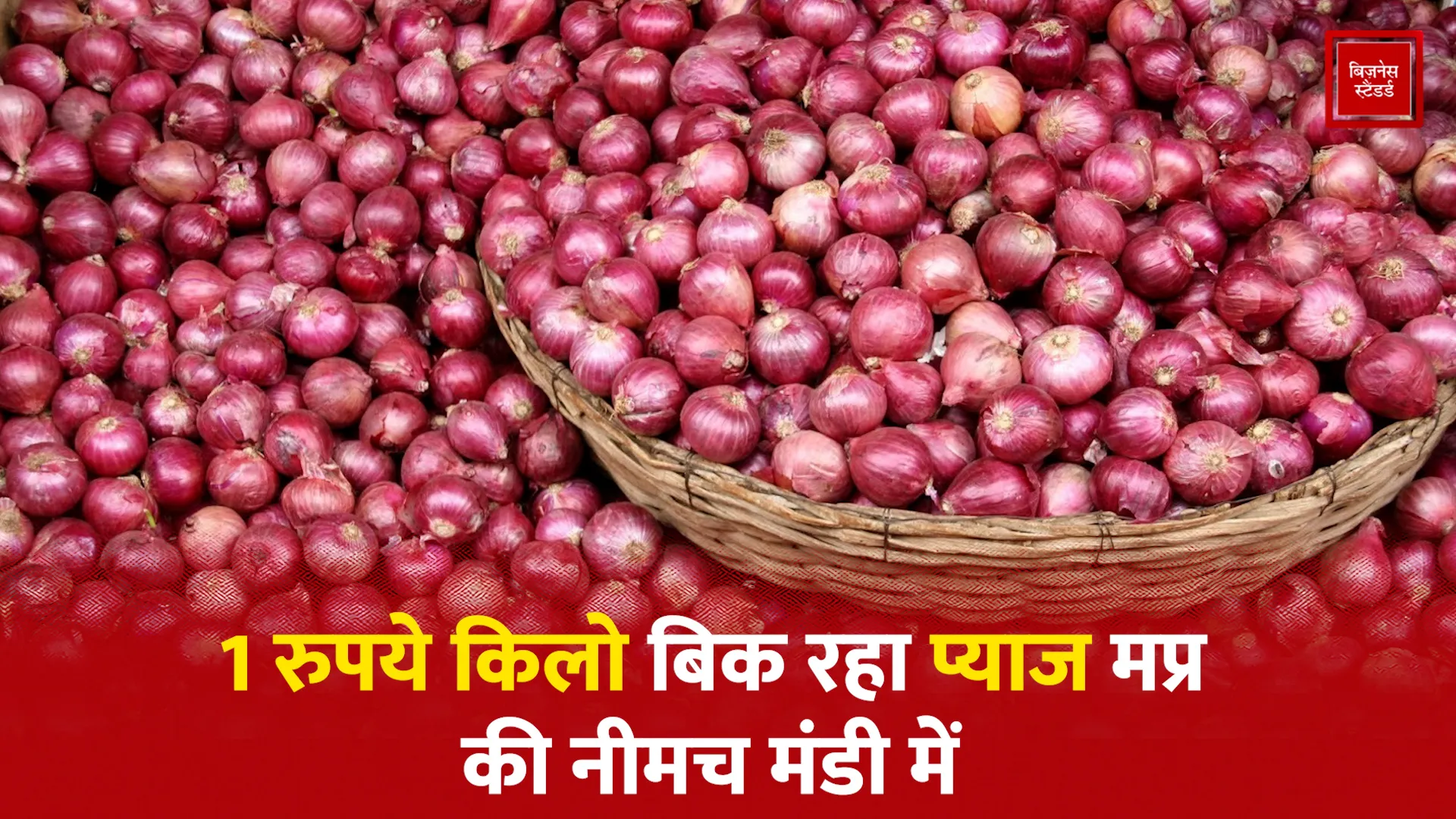 Onion price