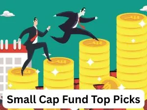 Sharekhan Top-4 Small Cap Fund Picks