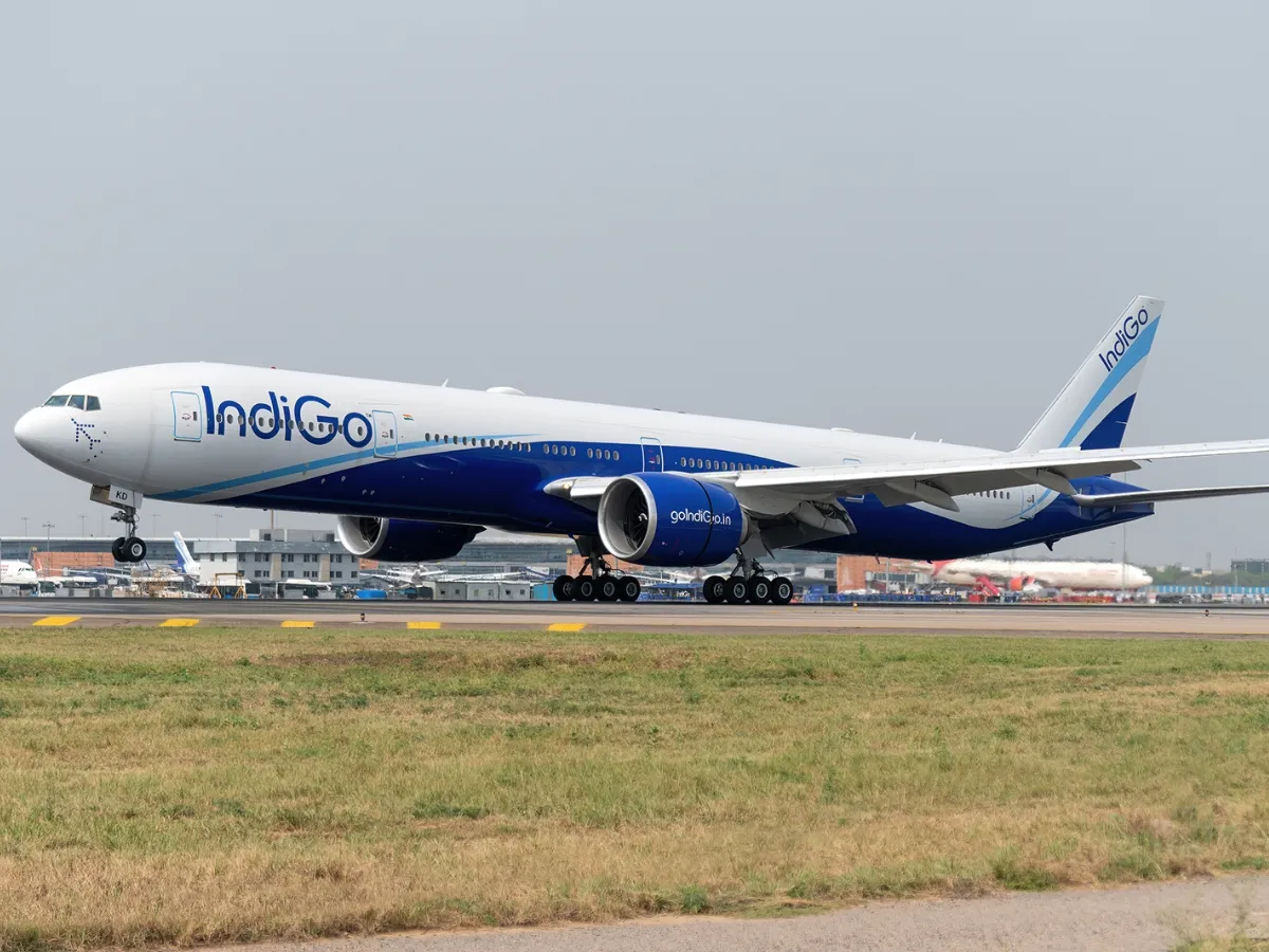 Indigo
