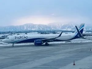 Indigo