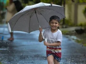 Rain