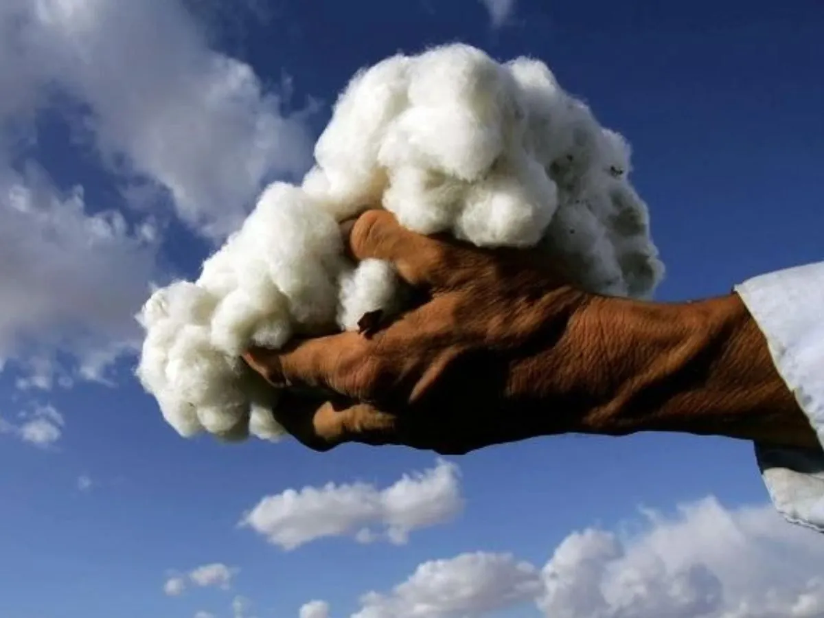 India cotton import