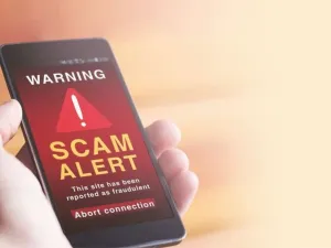 Cyber Fraud