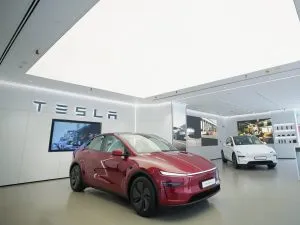 Tesla India