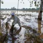 Punjab floods