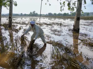 Punjab floods