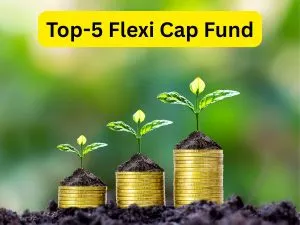 Flexi Cap Fund