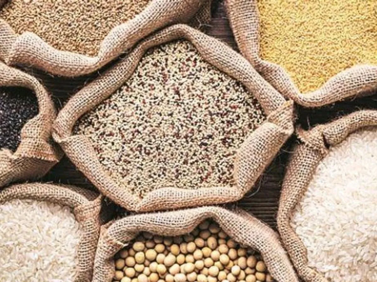 Food Grain