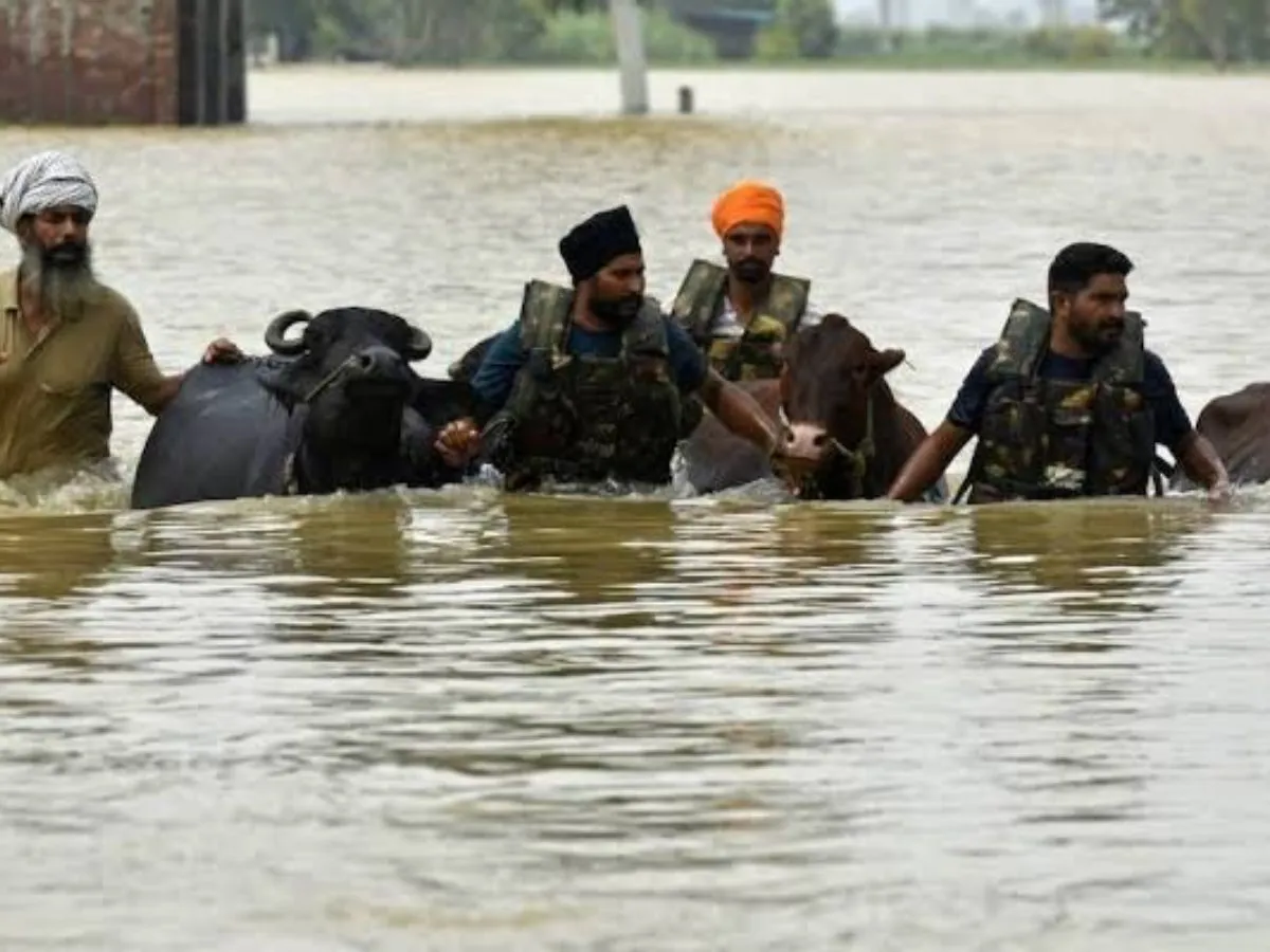 Punjab Flood