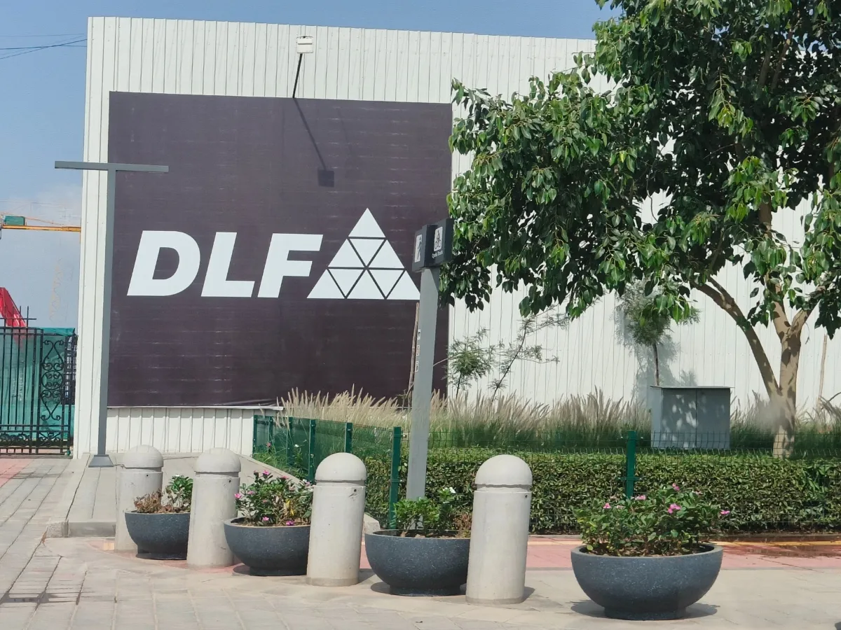 DLF