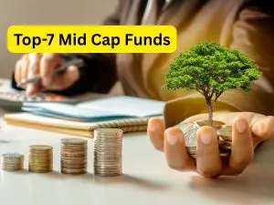 Mid Cap Funds