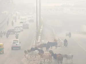 Delhi Pollution