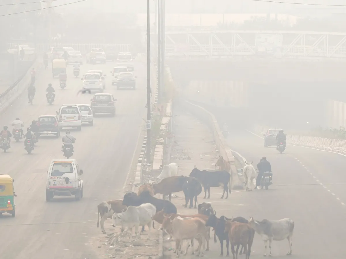 Delhi Pollution