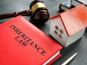 Inheritance Law
