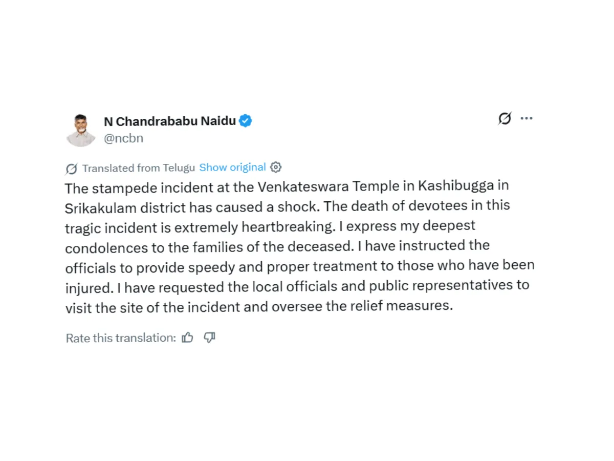 Andhra Pradesh Chief Minister N Chandrababu Naidu 