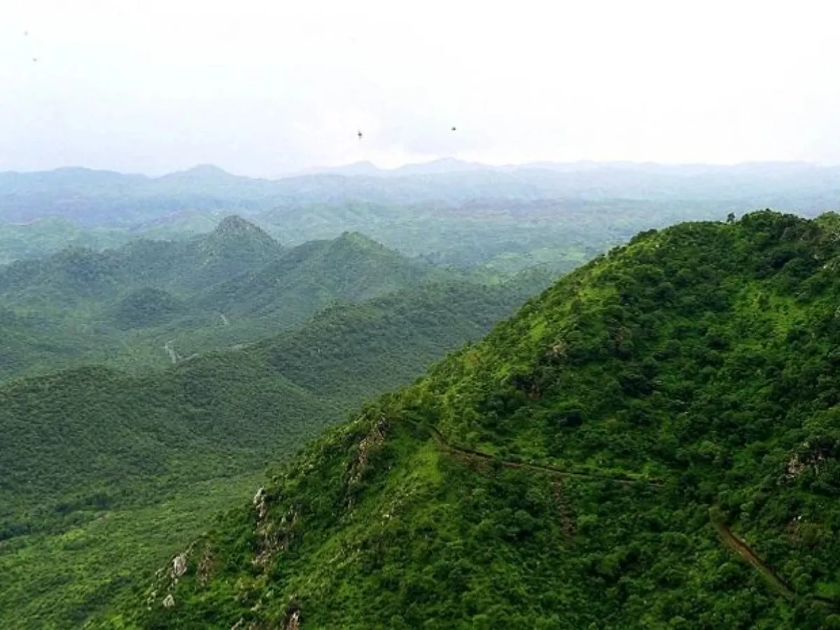 Aravalli hills