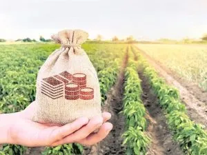 Rural Economy boom