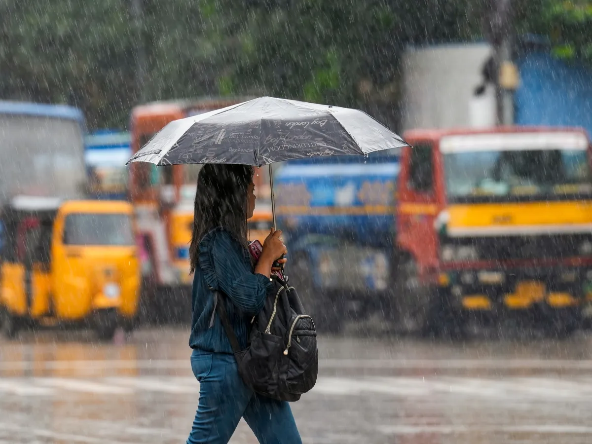 Rain