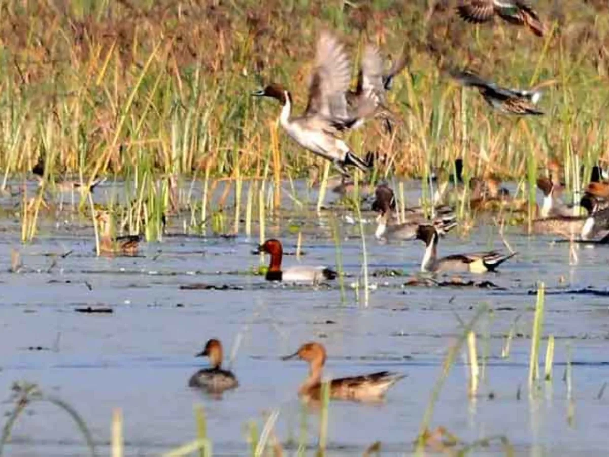 Uttar Pradesh eco tourism