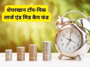 large and Mid Cap Funds