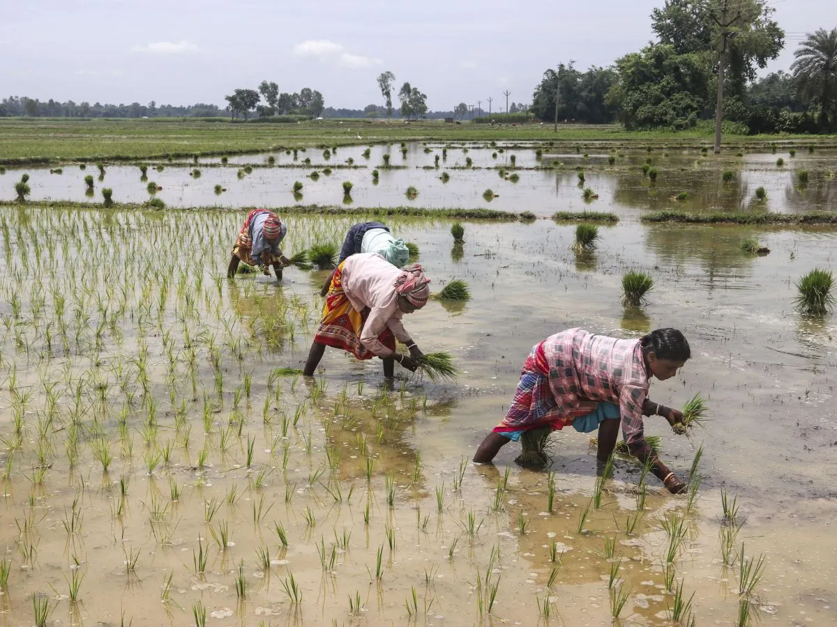 agriculture