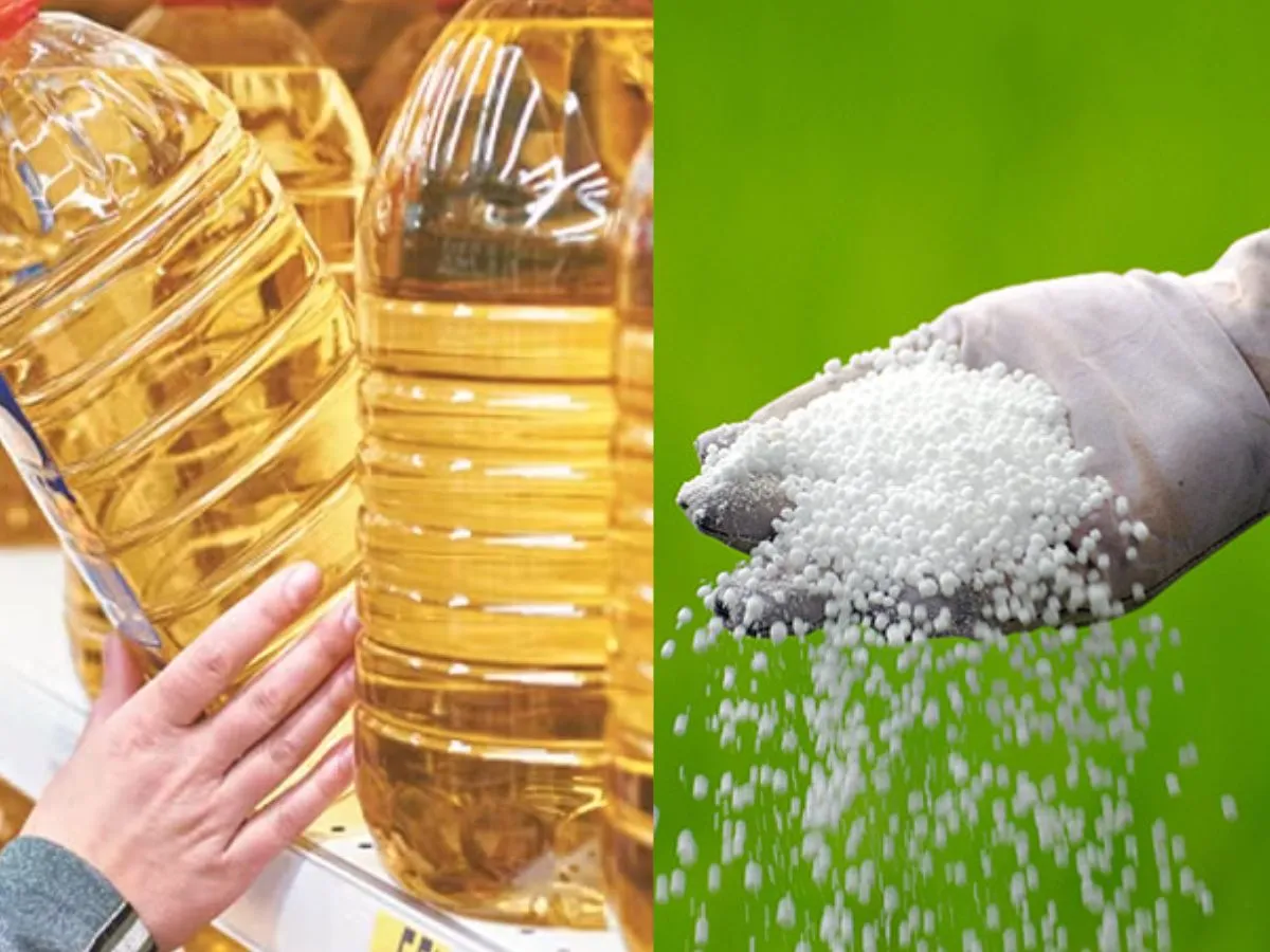 Edible Oil and Fertilizer