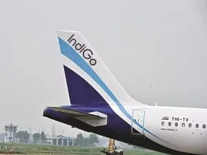 IndiGo