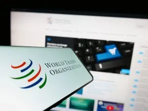 World Trade Organization (WTO)