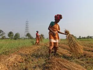 women farmers india