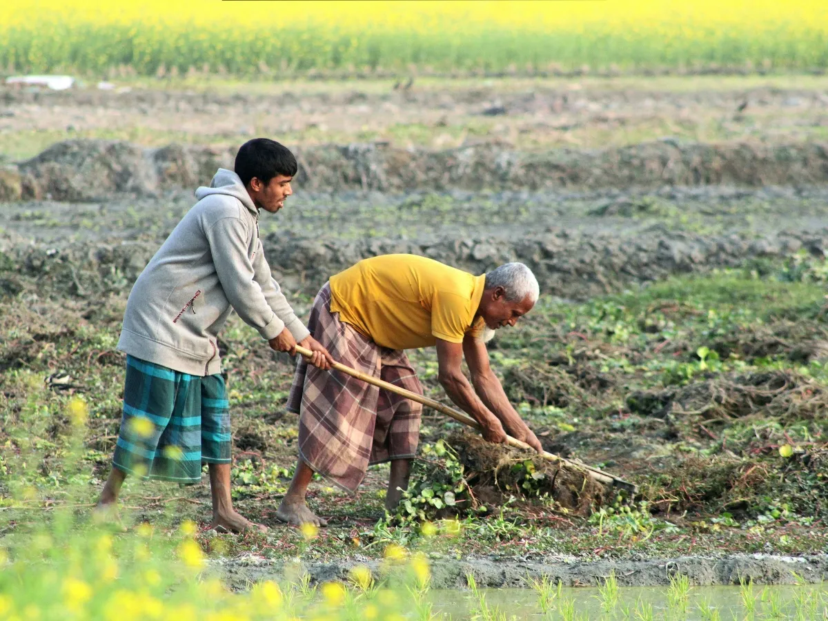 Indian Farmer