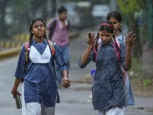 Rain