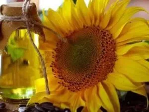 Sunflower Oil