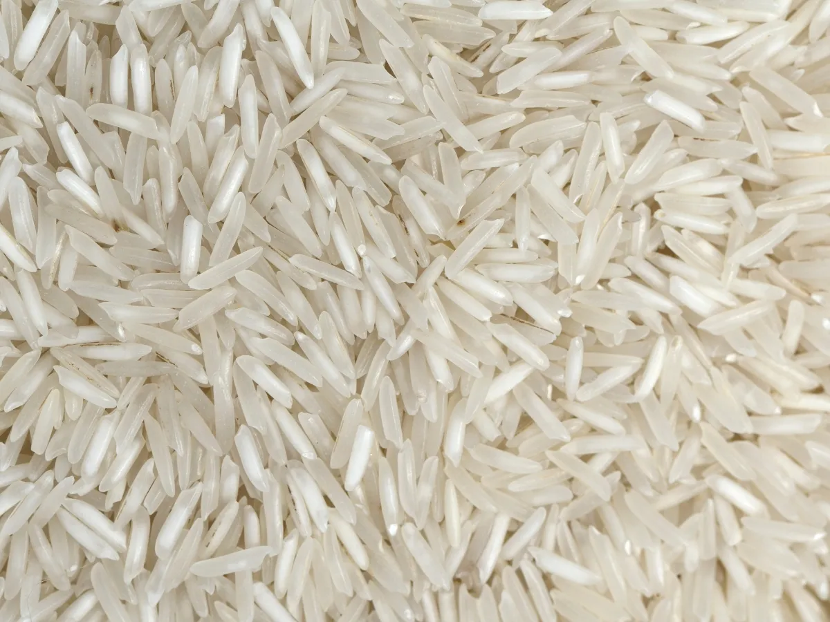 ओडिशा में चावल की रिकॉर्ड पैदावार: अब खुले बाजार में होगी नीलामी और गरीबों को मिलेगा दोगुना अनाज