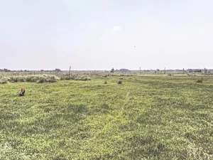 Poll Pulse 2026: Time for Singur to move on from being an election prop?