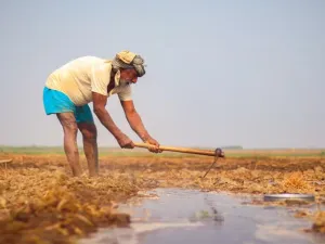 Agriculture Crisis due to Heatwave in India
