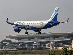 Indigo