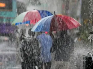 Rain