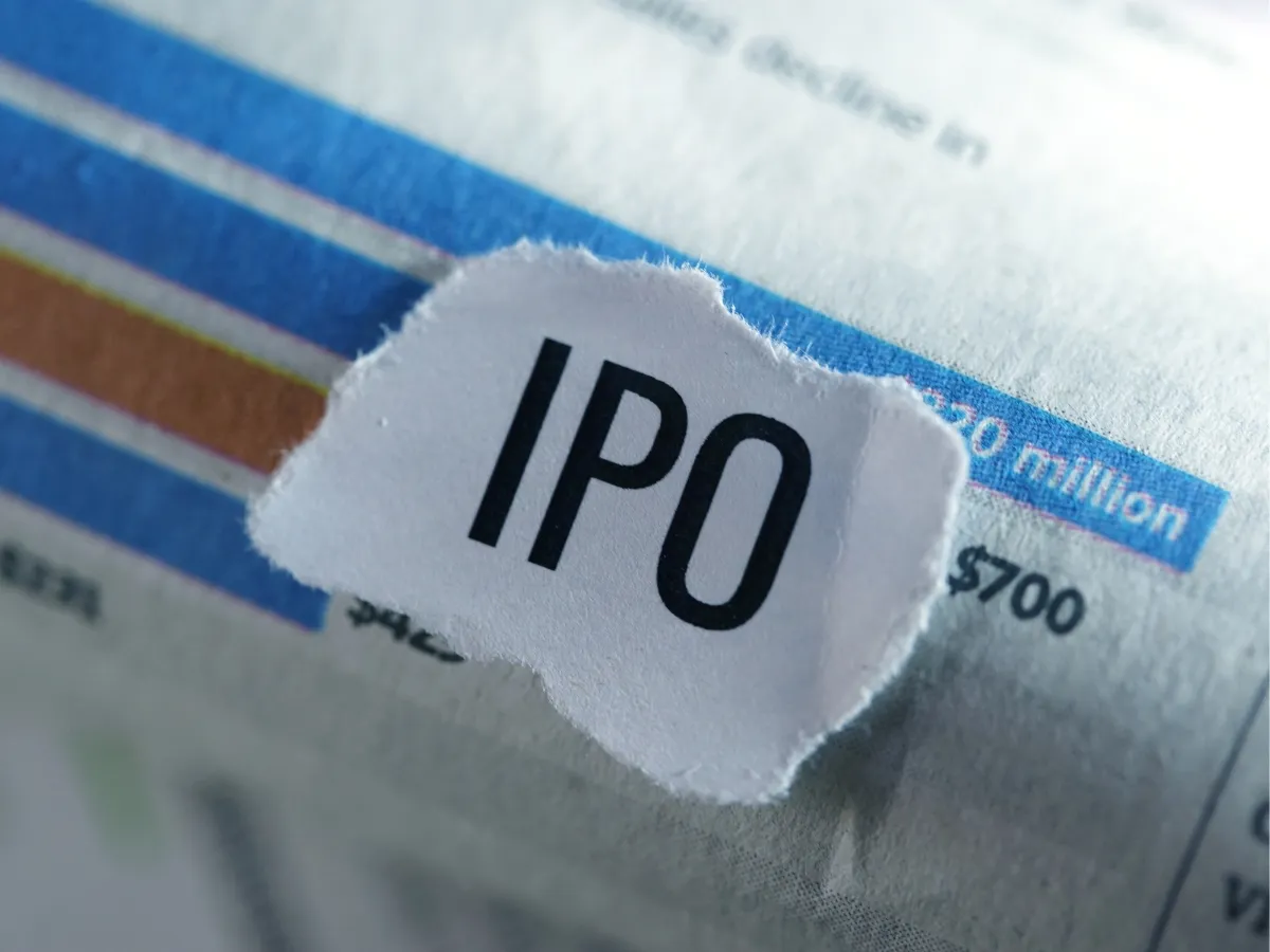 INDO-MIM IPO