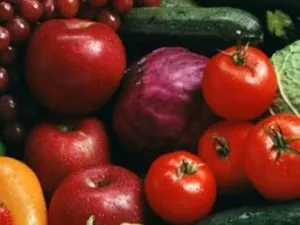 Horticulture Crop