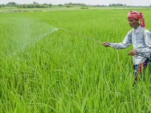 PM Fasal Bima Yojana 2026