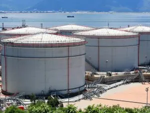 Petroleum Reserve