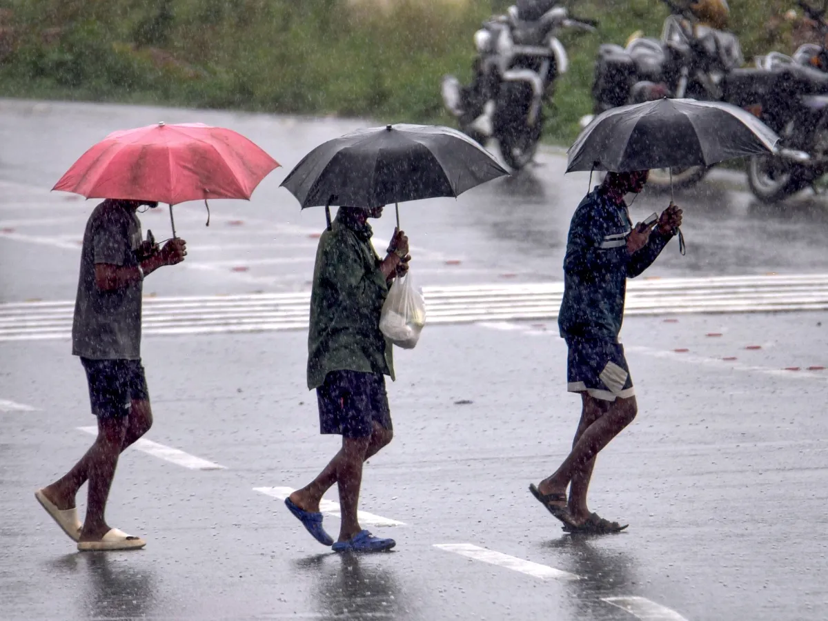 Rain