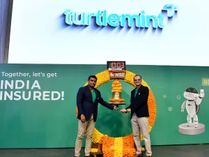 Turtlemint Fintech Share Price